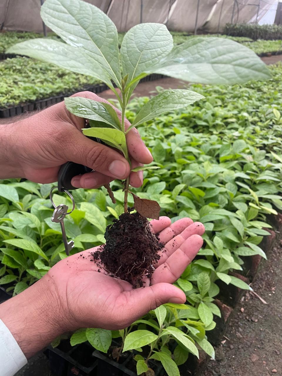 Tissue culture laboratory